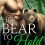 Her Bear to Hold (Second Chance Shifters) Review