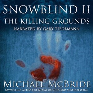 Snowblind II: The Killing Grounds Review
