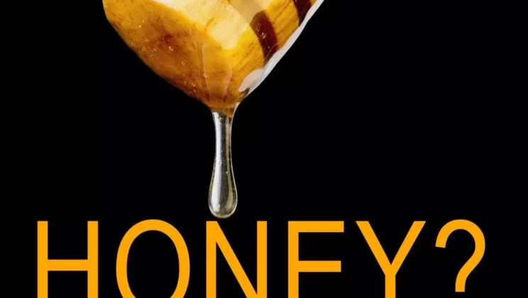 HONEY? Let Me Explain: Everything you need to know, health benefits, remedies, recipes and more