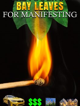 The Power Of Bay Leaves For Manifesting