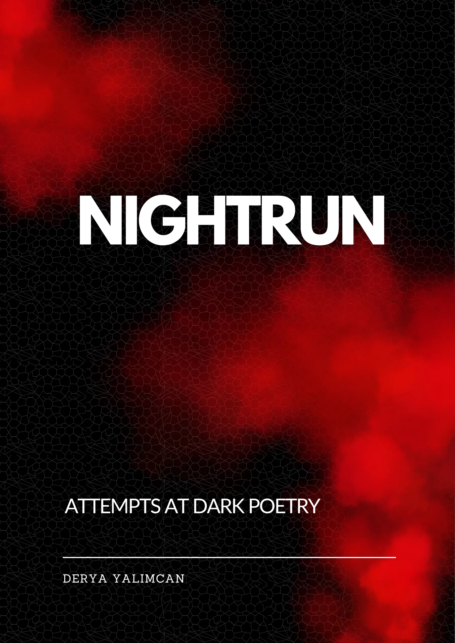 Nightrun