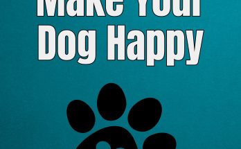 100 Ways to Make Your Dog Happy